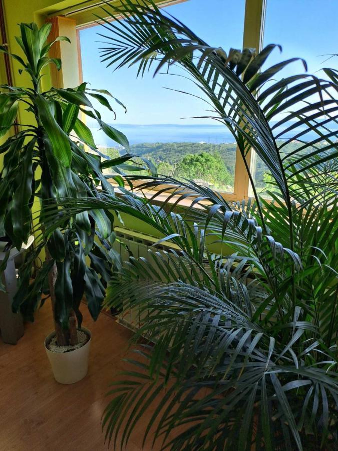 Kuca Za Odmor Vista Mare Villa Marinici  Luaran gambar
